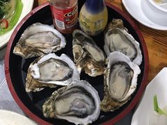 阳江炊蚝-大富蚝乌东哥饭店·石锅鱼杂·柠檬鸭(革新路店)