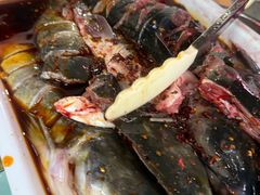 -金海椒罐罐鲢鱼(东方桂苑店)