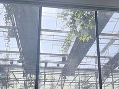 -常州花鸟园酒店(西太湖品牌优选店)