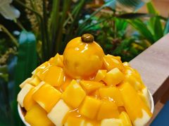 -劳顶笨Rotty Bun(青岛城阳店)