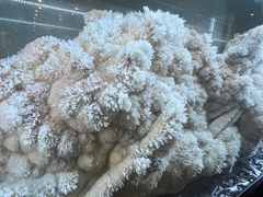 -湖南省地质博物馆