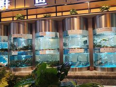 -老船舫·现做活鲜鱼馆(东郊记忆店)