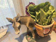 -慢丽江·云南野生菌土鸡锅(付家庄店)