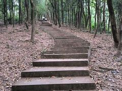 -滴水岩森林公园