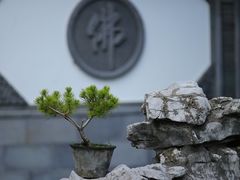 -皇罗禅寺