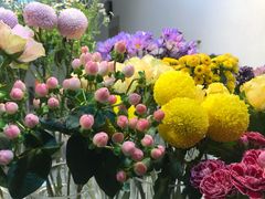 -花未央花店·WEYOUNG
