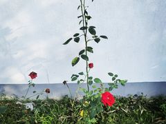 -西山人家·二十年老字号农家菜(旺山店)