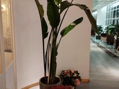 -ins森林童话餐厅coffee&bistro