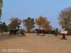 -北京西山国家森林公园