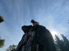 -宜兴龙背山森林公园