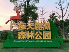 -天鹿湖森林公园