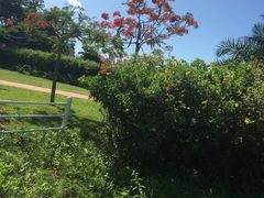 -亚龙湾国际玫瑰谷