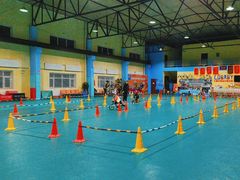 -长春乐奇平衡车儿童体能运动中心