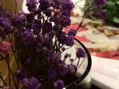 iphone_upload_pic-CASANOVA西餐厅(海信广场店)
