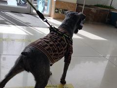 -美联众合动物医院·24h京西诊疗中心