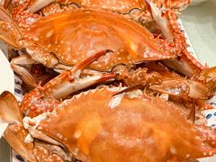 鲜活大螃蟹-北塘海鲜·天津菜(大光明桥旗舰店)