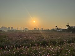 -洋湖国家湿地公园