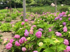 -江南大学(蠡湖校区)