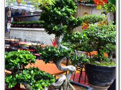 门面-無招牌海鮮(芽笼店)