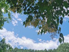 -玉渡山自然风景区