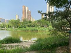 -南翠屏公园