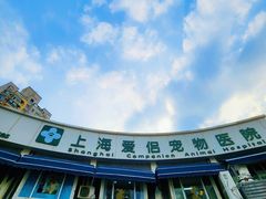 -爱侣宠医·鹦鹉专科·小型哺乳类·异宠专科(灵石路店)