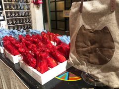 -猫咪博物馆(顶澳仔猫街店)