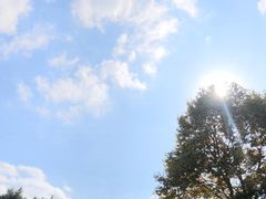 -瀛洲公园