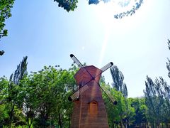 -长白岛森林公园