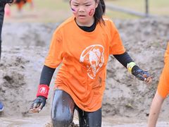 -春花秋色城市公园