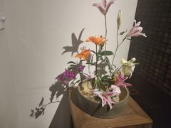 -瓦库茶馆17号(海汇港店)