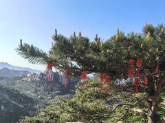 -崂山仰口游览区
