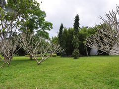 -红色娘子军纪念园