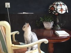 -不舍昼夜咖啡馆