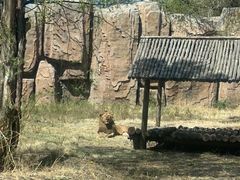 -齐齐哈尔龙沙动植物园