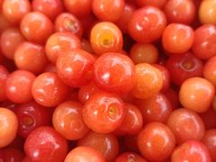 -云里小坐·小院里·团建·宴请·下午茶(三圣乡店)