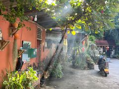 -傣泐金湾餐厅