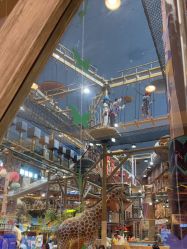 -卡通尼·Safari非洲探索乐园·生日会(金桥国际商业广场店)