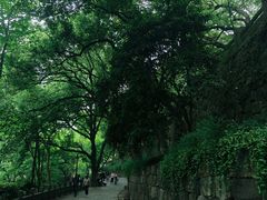-城隍阁