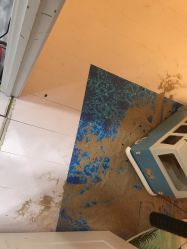 -星光贝贝(万达店)