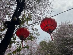 -佛山市祖庙博物馆