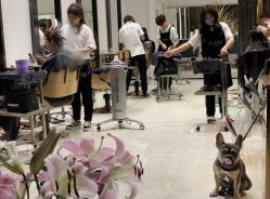 -OnHair Salon