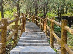 -白水寺森林公园