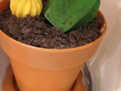 -85度C(南京中山南店)