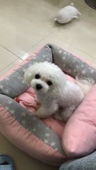 -肌理言健康美肌驻颜所