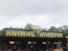 -奥兰多迪士尼动物王国乐园