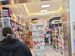 -北京观赏动物医院·24小时大型综合·猫专科·异宠专科