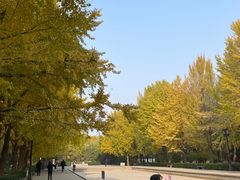 -玲珑塔公园