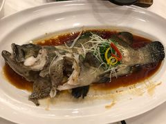 -名苑皇宫酒家(来魅力壁画村店)