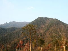-千岛湖石林